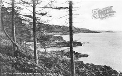 In The Jerbourg Pine Forest 1934, Guernsey