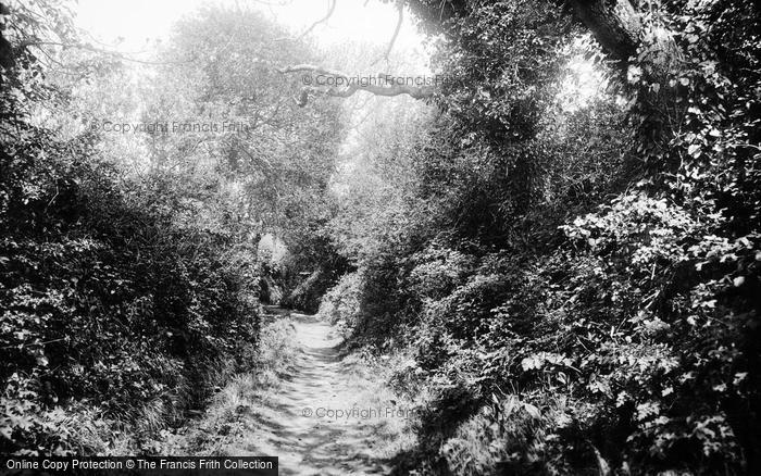 Photo of Guernsey, Moulin Huet Bay, Water Lane 1892