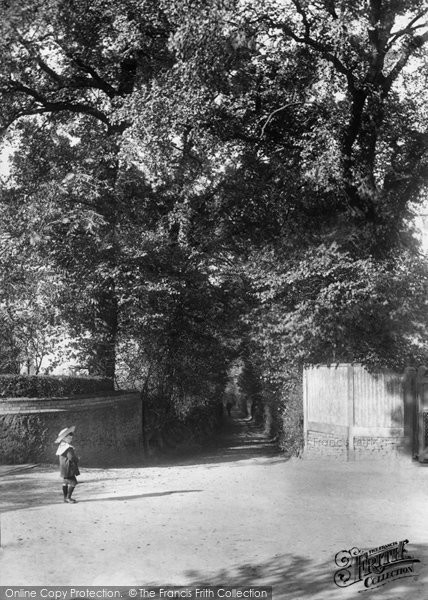 Photo of Guildford, Cross Lanes 1906