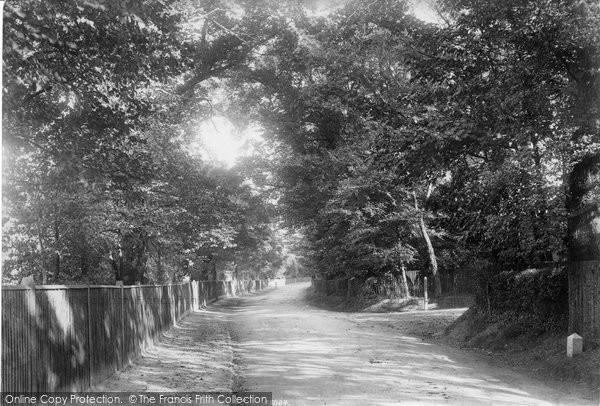 Photo of Guildford, Epsom Road 1906