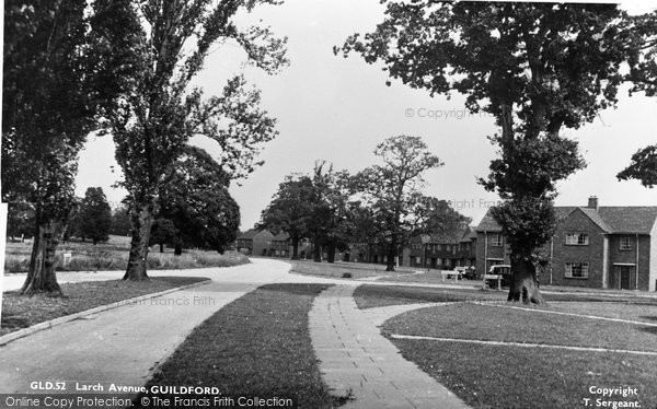 Photo of Guildford, Larch Avenue c.1955