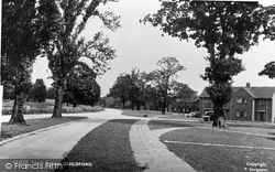 Larch Avenue c.1955, Guildford