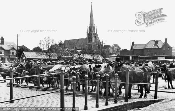 Photo of Guildford, Market 1924