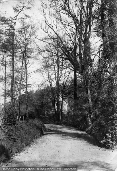 Photo of Guildford, Sandy Lane 1907