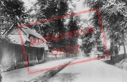 Shalford Road 1906, Guildford