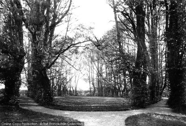 Photo of Guisborough, Priory, Monk's Walk c.1885