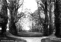 Priory, Monk's Walk c.1885, Guisborough