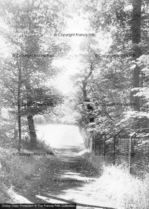 Photo of Guiseley, Lane To Esholt Springs c.1955