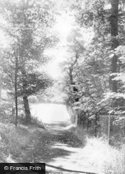 Lane To Esholt Springs c.1955, Guiseley