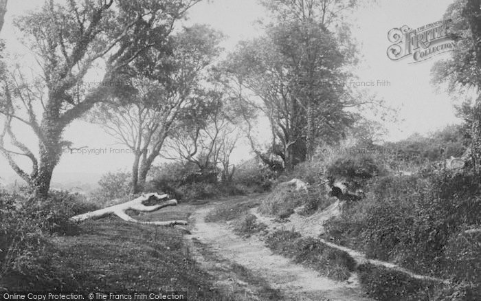 Photo of Gumfreston, Scotsborough Lane 1890