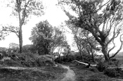 Scotsborough Lane Scene 1890, Gumfreston
