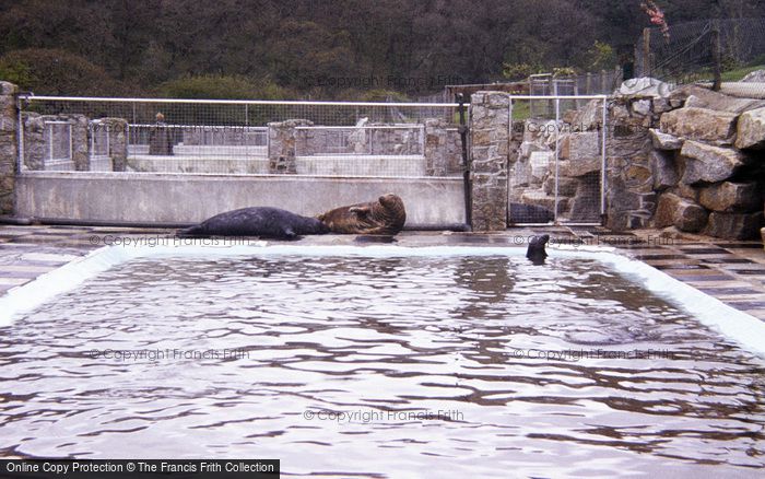 Photo of Gweek, The Seal Sanctuary 1985