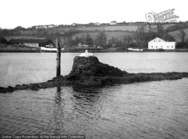 Photo of Gweek, View Of River Helford And Swans' Nest c.1960