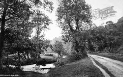 Forge Valley c.1877, Hackness