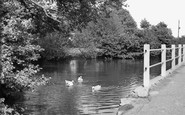 Haddenham, Banks Pond c1960