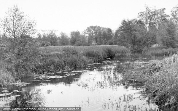 Photo of Hadleigh, The River c.1955