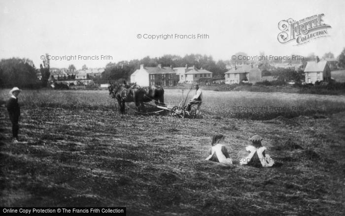 Photo of Hailsham, From South 1902