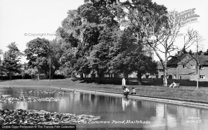 Photo of Hailsham, The Common Pond c.1960
