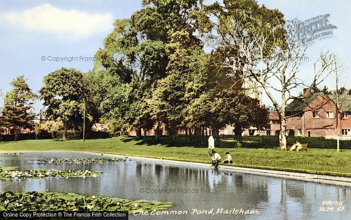 Photo of Hailsham, The Common Pond c.1960