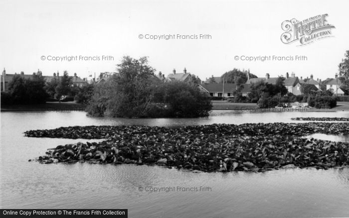 Photo of Hailsham, The Common Pond c.1965