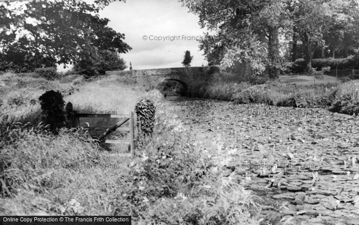 Photo of Halberton, The Canal, Rock Hill c.1960