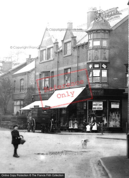 Photo of Hale, 1907