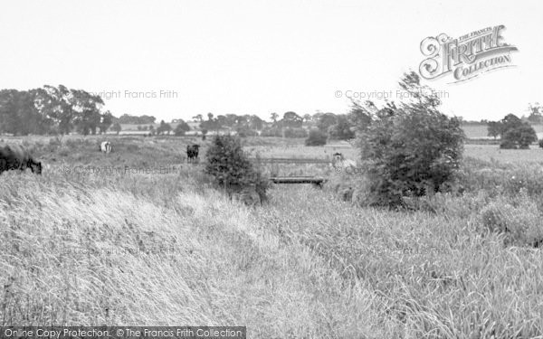 Photo of Halesworth, The River Bed c.1955