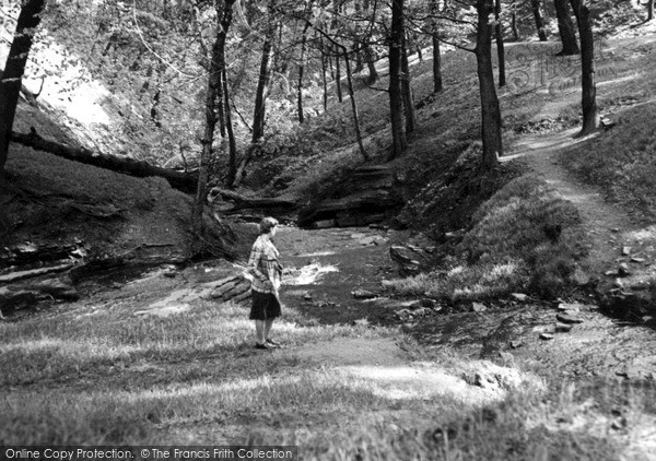 Photo of Halifax, The Stream, Shibden Valley c.1955