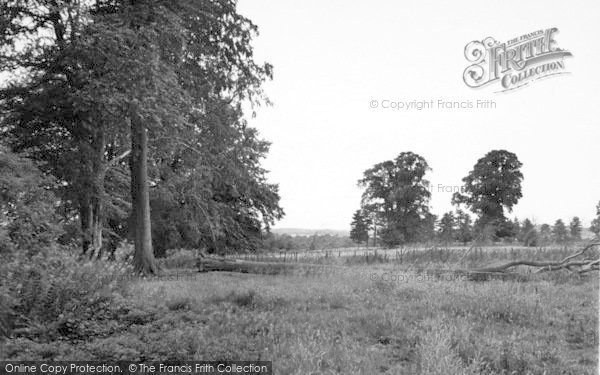 Photo of Halstead, Park c.1955