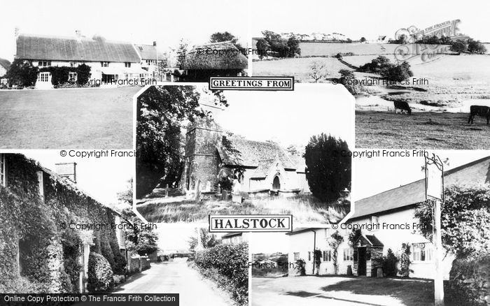 Photo of Halstock, Composite c.1960