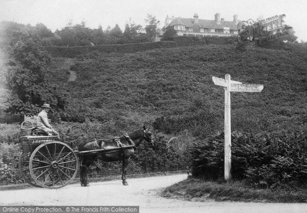 Photo of Hambledon, Horse And Cart, Mervil Hill 1904