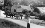 Hambledon, Horse and Carts in the Village 1904