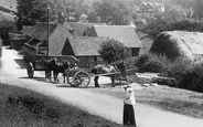 Horse And Carts In The Village 1904, Hambledon