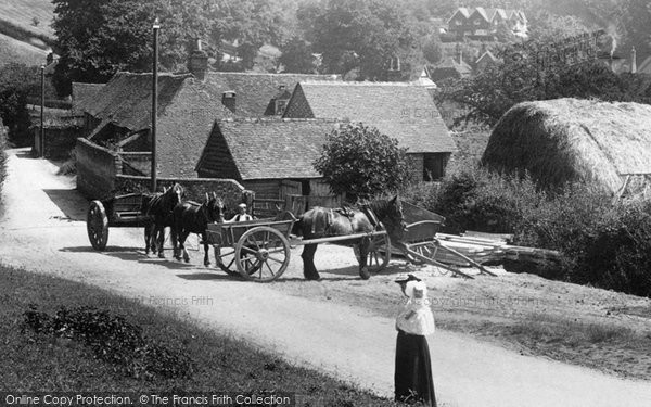 Photo of Hambledon, Horse and Carts in the Village 1904