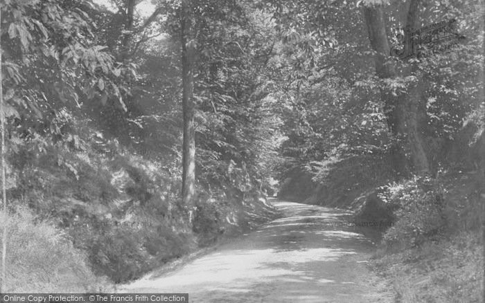 Photo of Hambledon, Rock Lane 1904