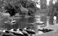 Ravenscourt Park c.1960, Hammersmith