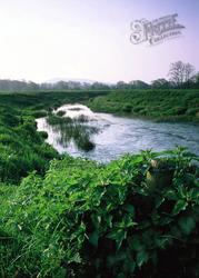 The River Stour 2006, Hammoon