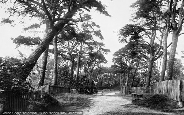 Photo of Hampstead, Fir Avenue 1898