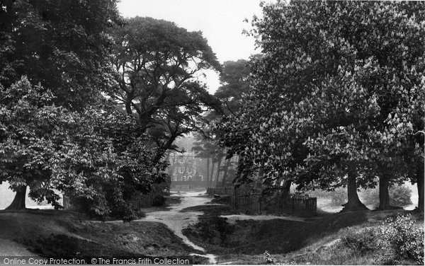 Photo of Hampstead, Fir Avenue 1899