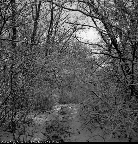 Photo of Hampstead, Heath In The Snow c.1970 - Francis Frith