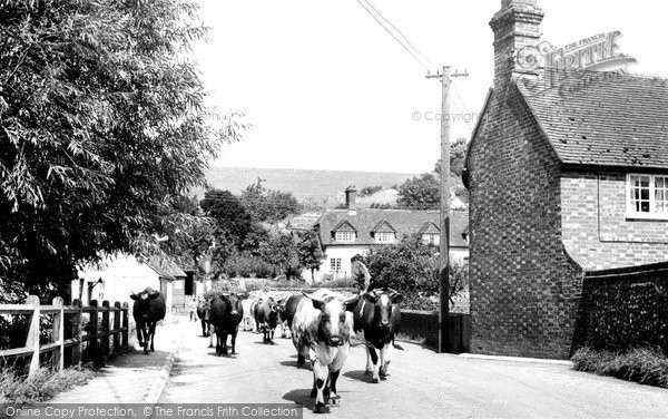 Photo of Hampstead Norreys, Church Street, Milking Time c.1950