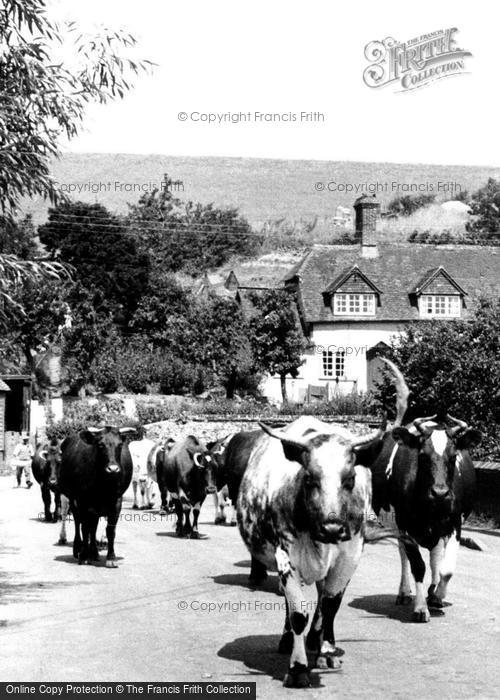 Photo of Hampstead Norreys, Church Street, Milking Time c.1950