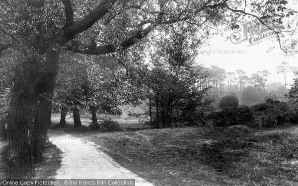Photo of Hampstead, On The Heath 1899