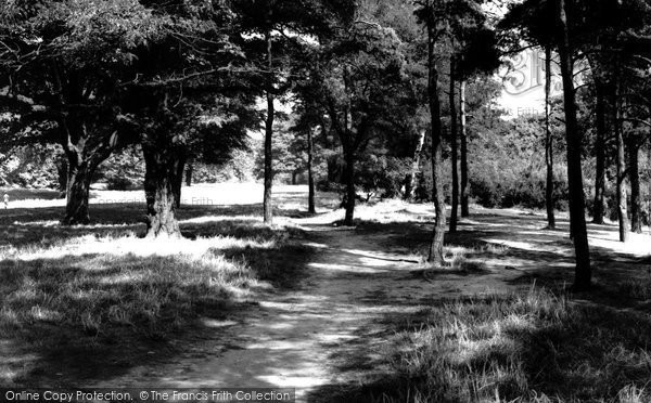 Photo of Hampstead, The Heath c.1960