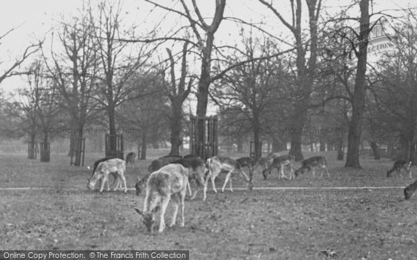 Photo of Hampton Court, Bushy Park c.1960