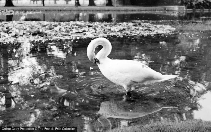 Photo of Hampton Court, Swan c.1937