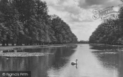 The Long Water c.1955, Hampton Court