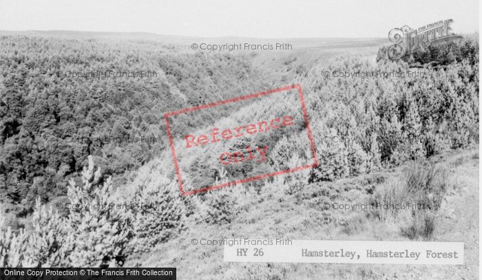 Photo of Hamsterley, The Forest c.1965