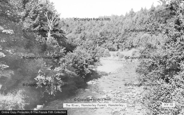 Photo of Hamsterley, The River, Hamsterley Forest c.1955