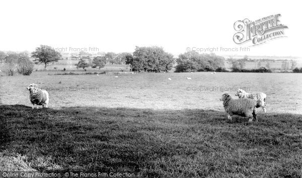 Photo of Hamstreet, Romney Marshes c.1960